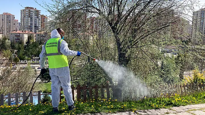 Talas Belediyesi yaz gelmeden önlemini aldı!