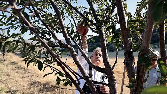 Yalçın Kırsal Yollarda Bakım Çalışmaları Yaptı