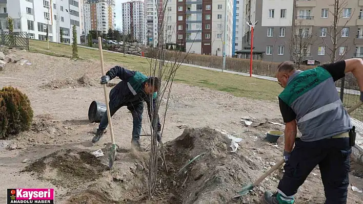 Talas'ta ağaçlandırma sezonu açıldı