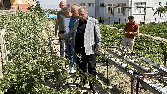 Talas'ın deneme bahçelerinde her çeşit meyve bulunuyor