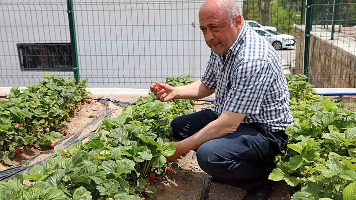 Talas, tarım ve hayvancılıktaki örnek modeli her geçen gün artıyor