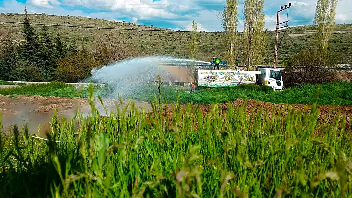 Talas'ta haşereyle kararlı mücadele