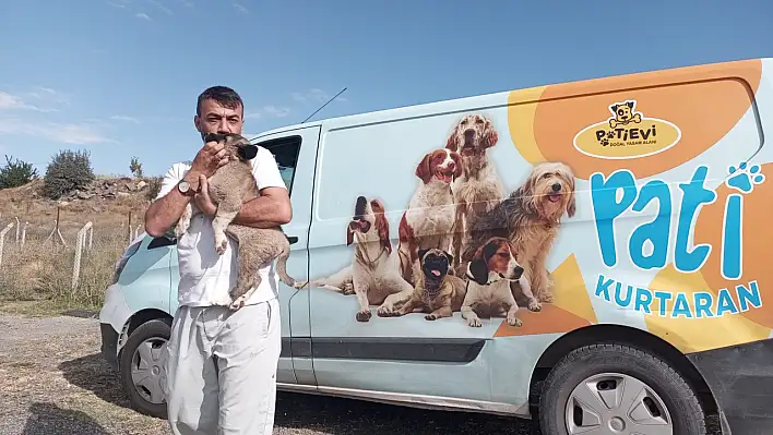 Talas'ta yavru köpek için ekipler seferber oldu!
