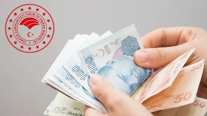 Tarım Bakanlığı duyurdu: Destekleme ödemeleri başladı