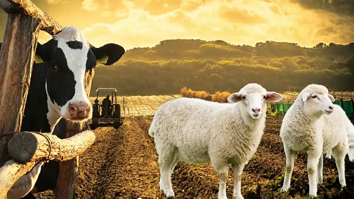 Tarım ve Orman Bakanı Yumaklı'dan destek ödemesi açıklaması!
