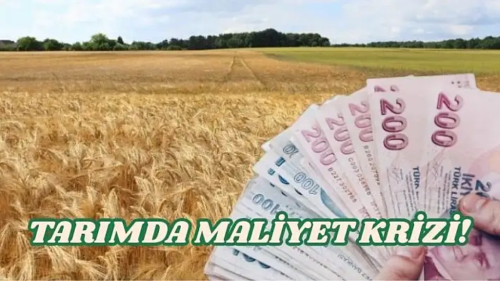 Tarımda maliyet krizi! Fiyatlar tırmanıyor, üretim durma noktasına mı gelecek?