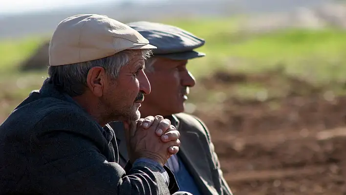 Tarımda tehlike kapıyı çalıyor: Çiftçiler düşünüyor!