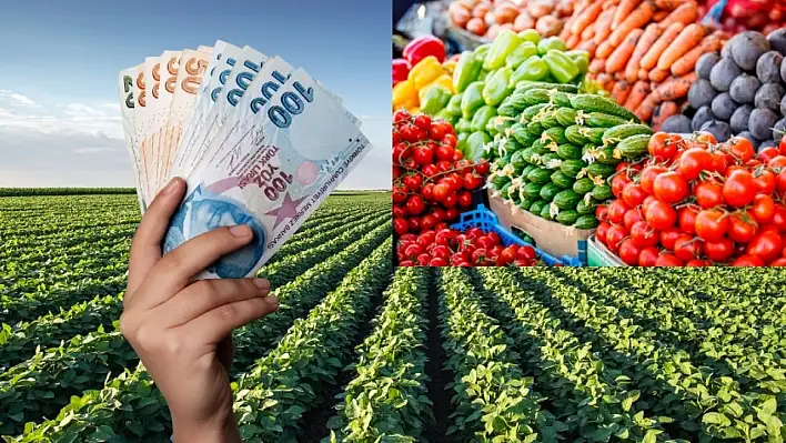 Tarlada 5 lira, markette 25: İşte TZOB raporu!