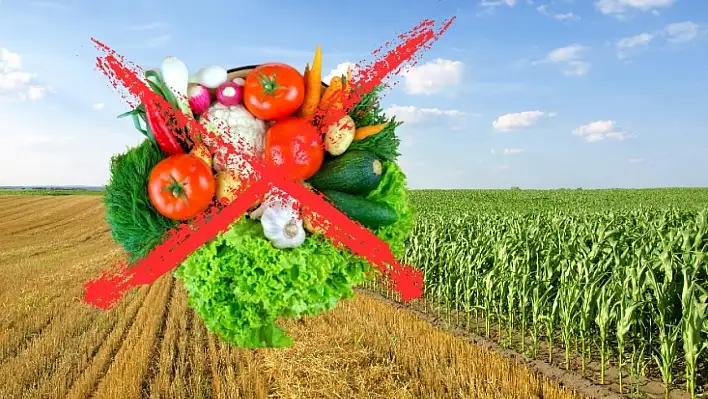 Tarlada üretim durdu, şimdi sıra sofrada: Zam dalgası hepimizi vuracak