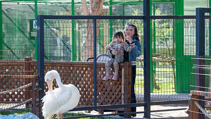 Tarsus Doğa Parkı, yarı yıl tatilinde çocukları ağırlıyor