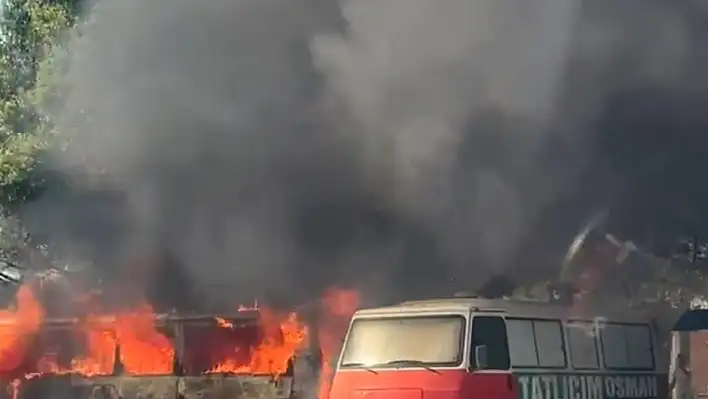 Adana'da seyyar tatlıcı aracı yandı, geriye demir yığını kaldı