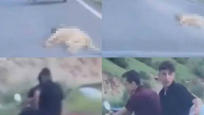 Telef olmuş köpeği sürükleyen şahsa verilen ceza belli oldu