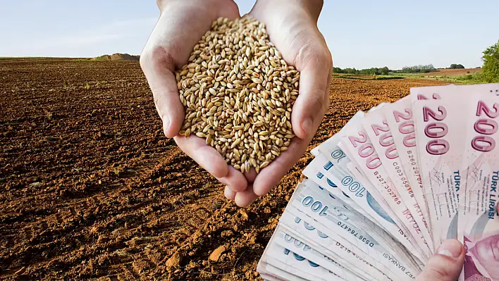 TMO hububat alım fiyatlarını açıkladı: İşte ton başına fiyat listesi…