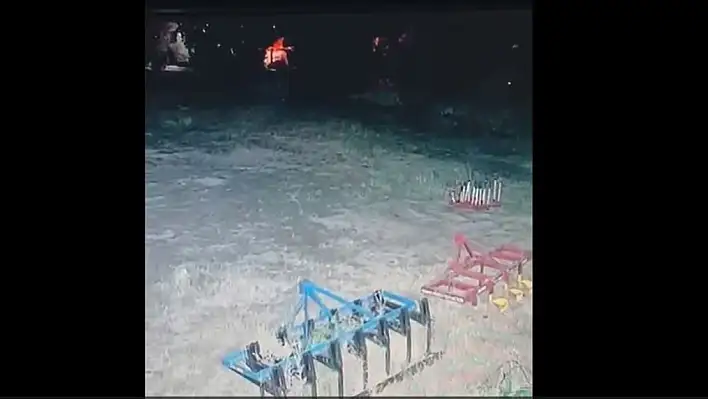 Tomarza'da gece yarısı korku dolu anlar: Kurtlar köye indi!