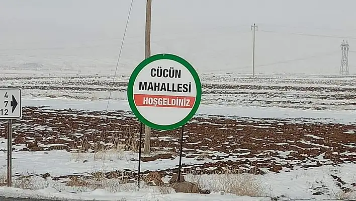 Tomarza'da kene paniği: Bir kişi yaşamını yitirmişti bir kişi daha hastaneye başvurdu!