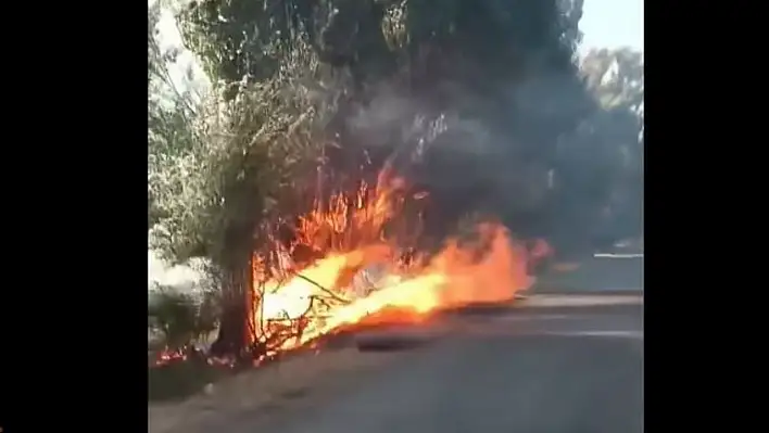 Tomarza'da korkutan yangın! Alevler ağaçlara sıçradı, köylüler seferber oldu