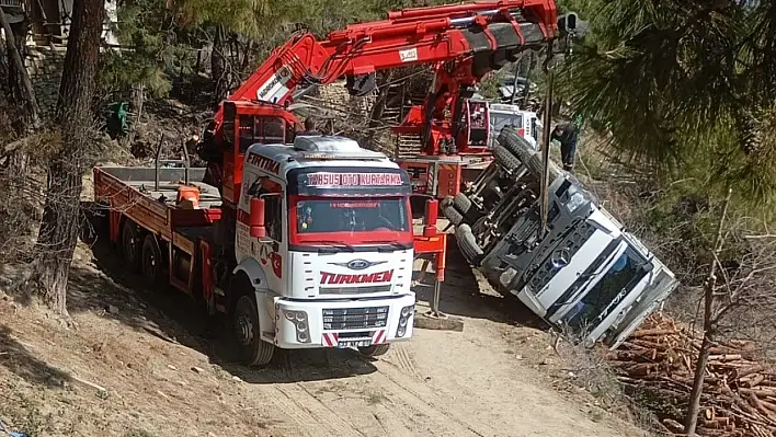 Tomruk yüklü kamyon devrildi!