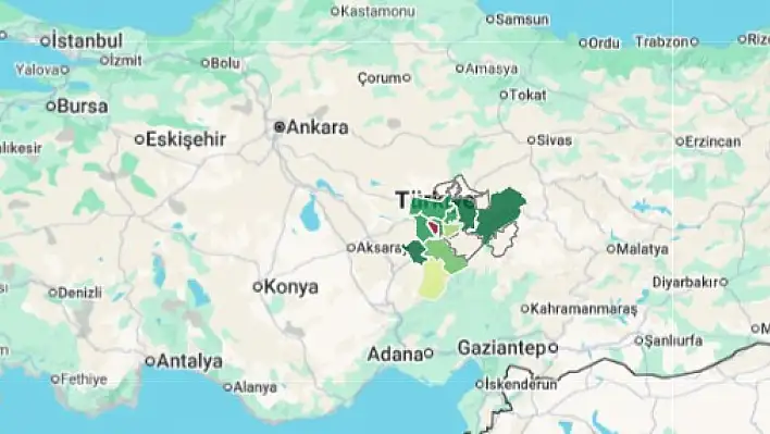 TÜİK açıkladı! Kayseri haritada sınırlı değişim gösterdi