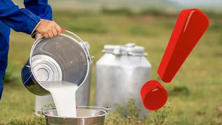 TÜİK'ten dikkat çeken rapor: Toplanan sütte sert gerileme!