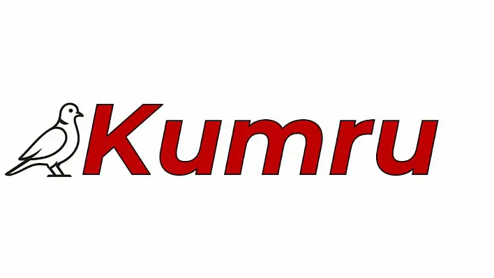 Türk mühendislerden yapay zeka atılımı – Kumru nedir, nasıl kullanılır?