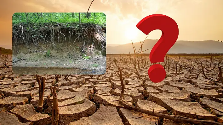 Türkiye, çölleşme ve kuraklıkla mücadelede ne durumda?