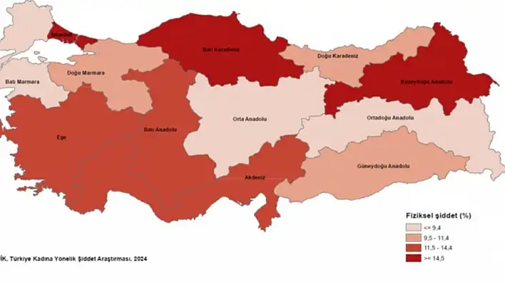 Türkiye'de kadına yönelik şiddetin haritası çıkarıldı!