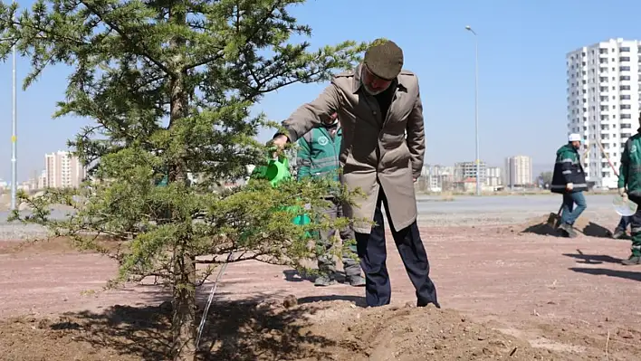 Kayseri'nin en büyük ilçe fidanlığı hangi belediyede? Cevabı sürpriz değil!