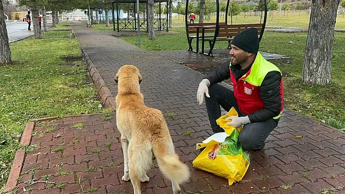 Türkuaz Arama Kurtarma'dan Hayvan Dostlarına Kış Yardımı