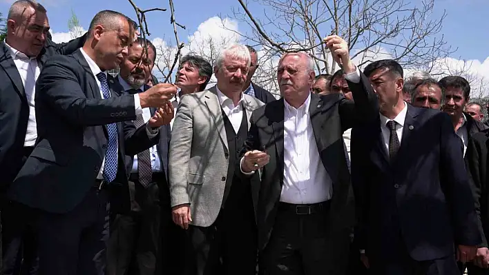 Zirai dondan etkilenen bahçeler inceledi!