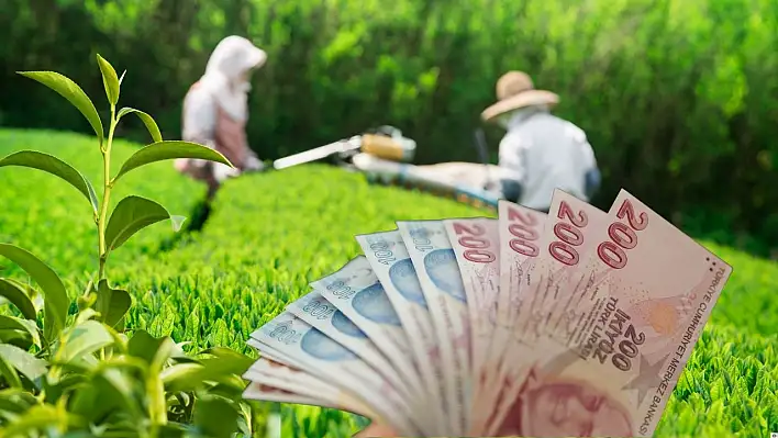 Üreticilerin beklediği rakam sonunda açıklandı: Yüzler gülecek mi?