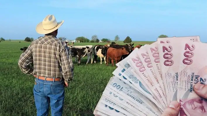 Üreticiye dev destek! Bakanlık ödemeleri bugün yapıyor