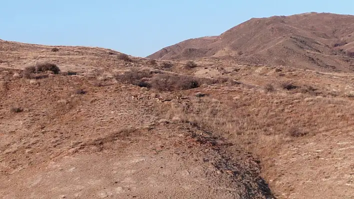 Usta tırmanıcılar böyle görüntülendi!