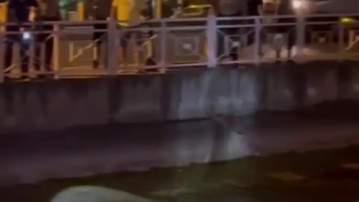 Adana'da Polis Uygulamasından Kaçan Şahıs Sulama Kanalına Atladı