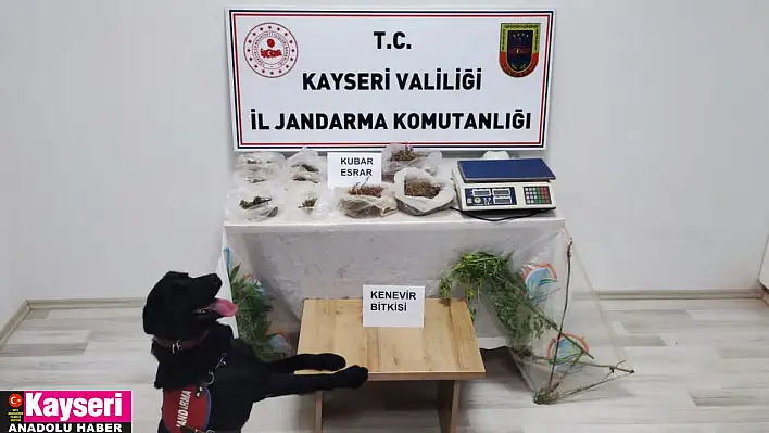 Uyuşturucu operasyonunda 1 şüpheli yakalandı