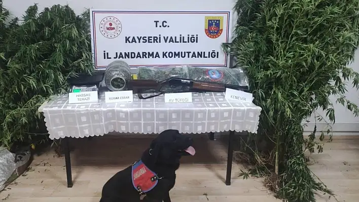 Uyuşturucuyu bakın nereye gizlemiş! 1 şahıs gözaltında