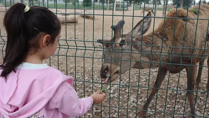 Bayramda hayvanat bahçesini kaç kişi ziyaret etti?