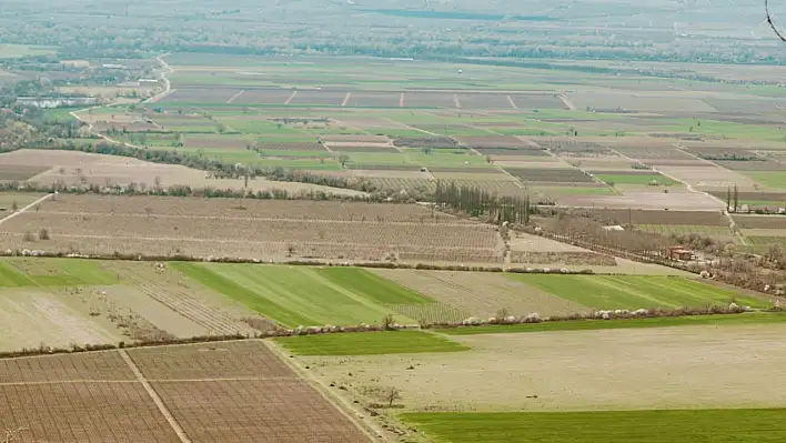 Yahyalı'da büyük arazi icradan satılacak! Muhammen bedel dikkat çekti