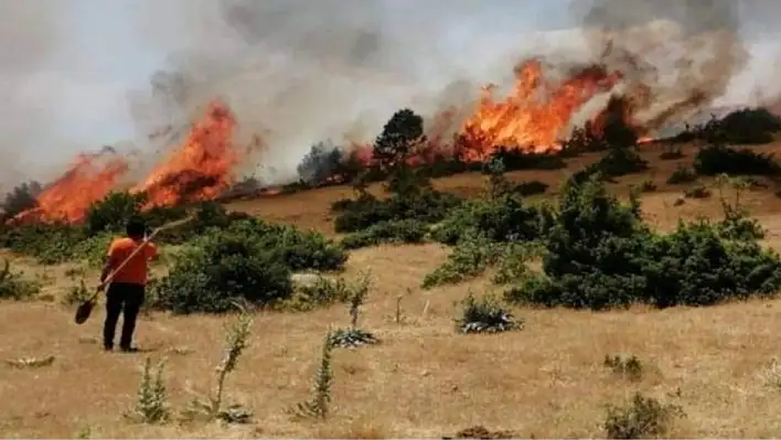 Yahyalı'daki yangın kontrol altına alındı