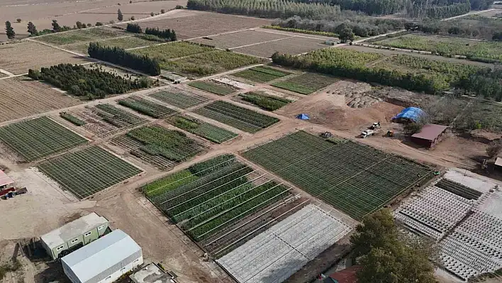 Adana Orman'dan 5 milyon fidan!