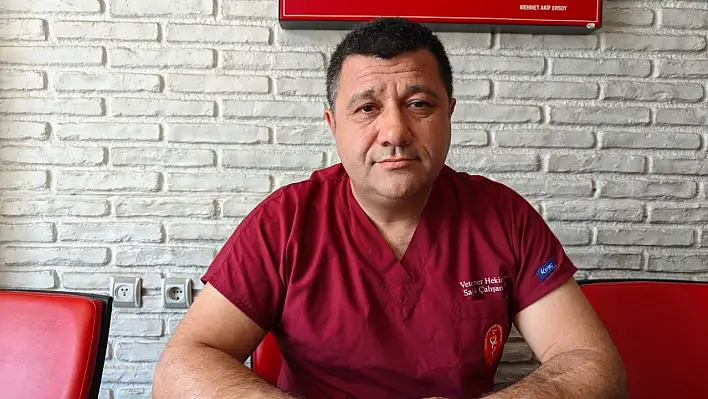 Yaz geldi, yılan tehlikesi arttı: Uzmanlardan hayati uyarılar!