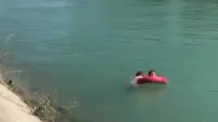Yeğenini kurtardı, kendi canından oldu