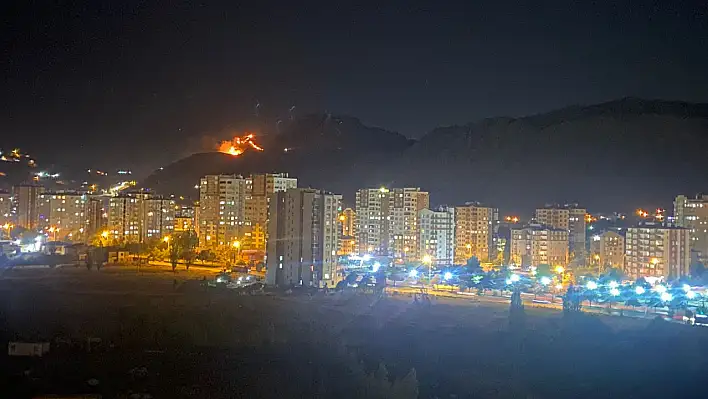 Yılanlı Dağı'nda korkutan yangın!