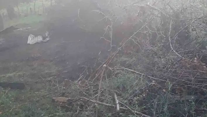 Adana'da Yıldırım Düştü - Telef Oldular