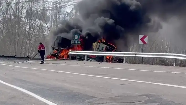 Yoldan çıkıp devrilen tır alevlere teslim oldu