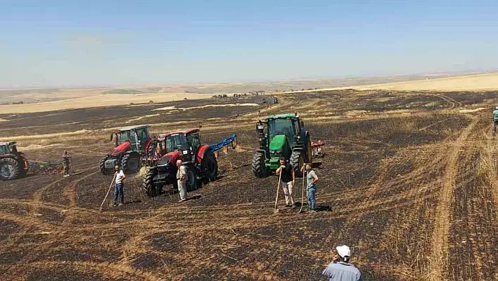 Yozgat'ta 100 dönüm arazi küle döndü