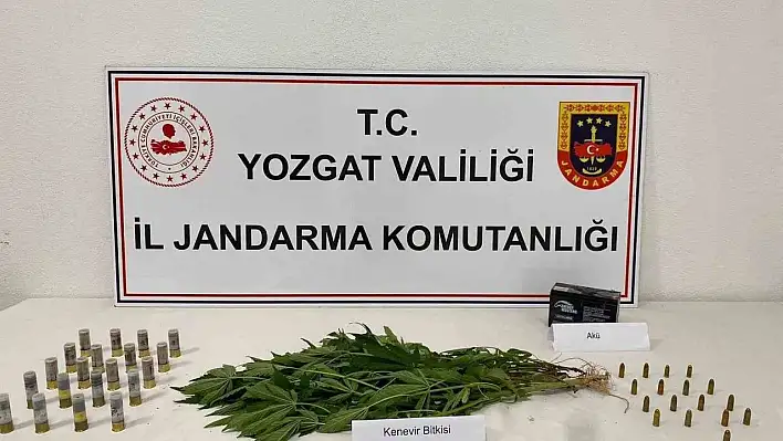 Yozgat'ta çok sayıda kenevir ve av fişeği ele geçirildi!