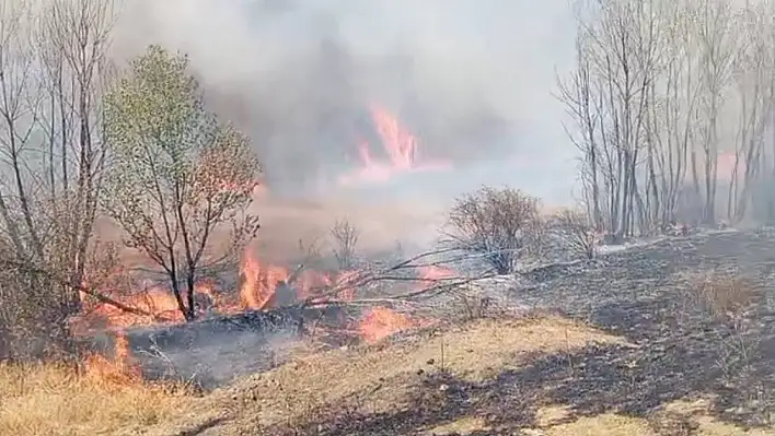 Yozgat'ta peş peşe çıkan yangın çıktı!