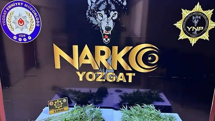 Yozgat'ta uyuşturucu operasyonu: 1 kişi tutuklu