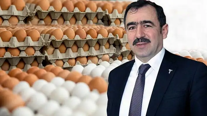 Yumurta etle yarışıyor