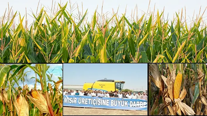 Yurt dışından ithale sıfır gümrük!